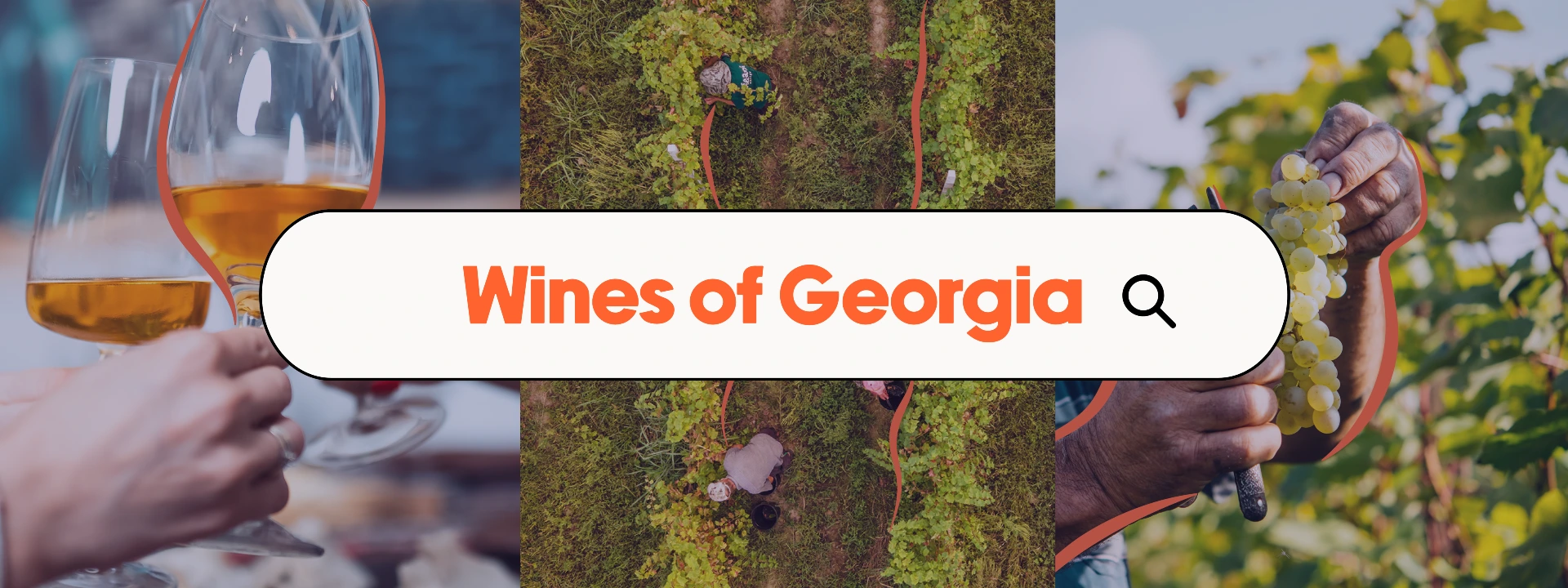 Wines of Georgia Grand Tasting 2025 cover image